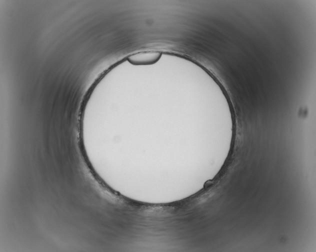 X0000110901093200907161545