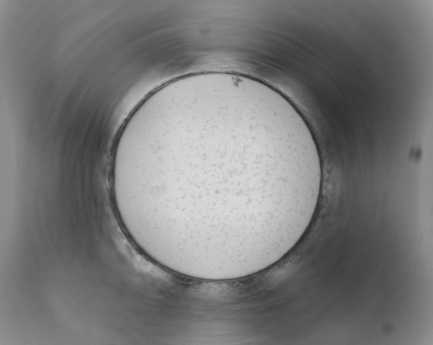 X0000110901094200907161545