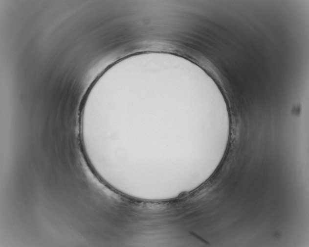 X0000110901095200907161545