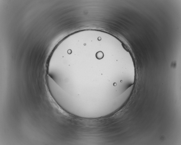 X0000110901096200907161545