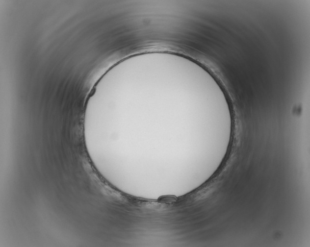 X0000110901097200907161545