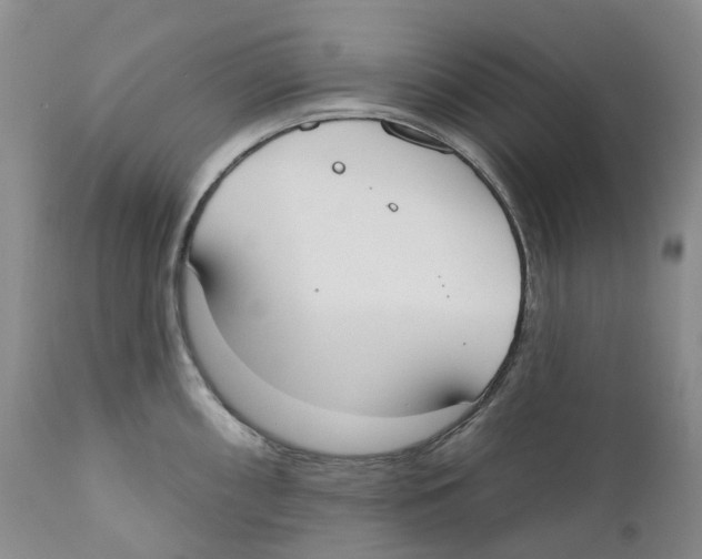 X0000110901098200907161545