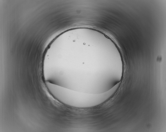 X0000110901101200907161545