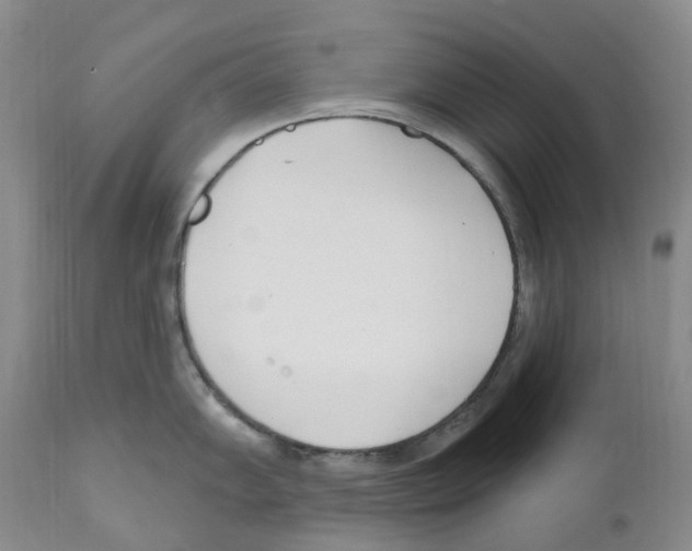 X0000110901102200907161545