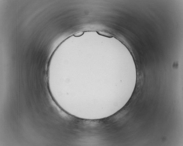 X0000110901103200907161545