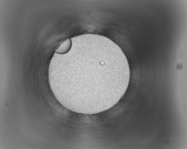 X0000110901105200907161544