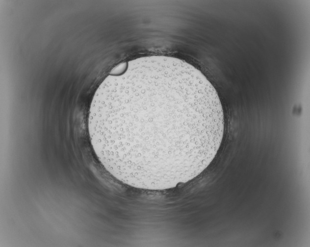 X0000110901106200907161544