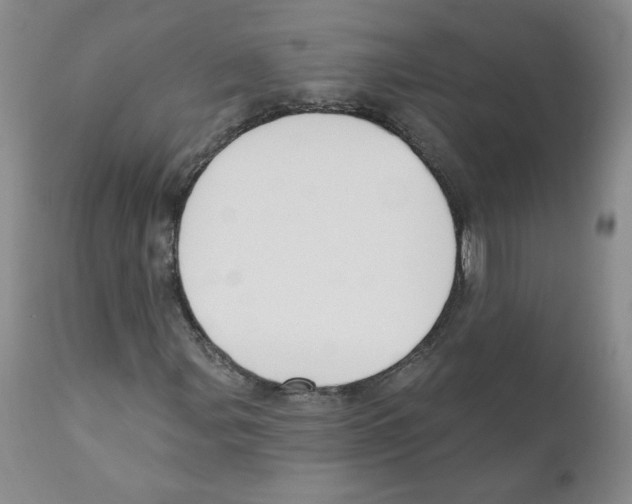 X0000110901107200907161544