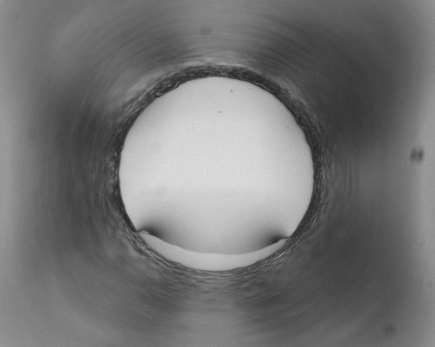 X0000110901110200907161544