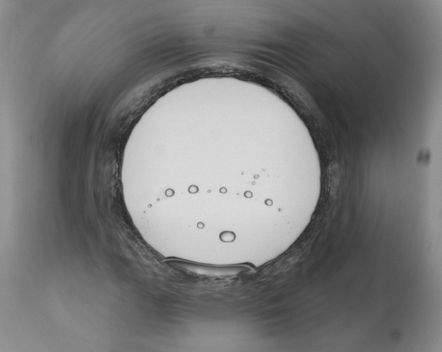 X0000110901111200907161544