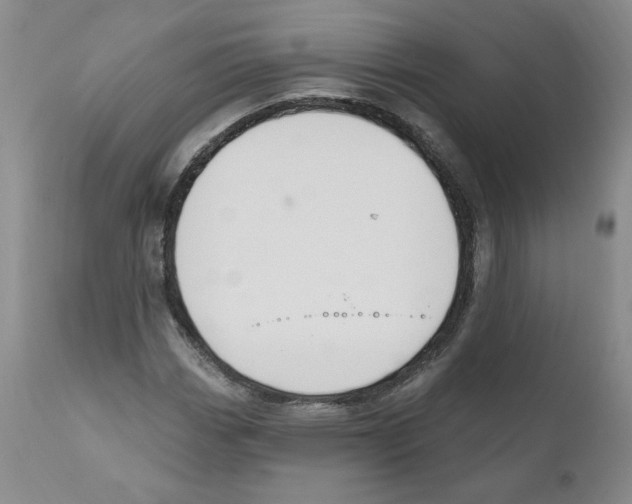 X0000110901113200907161544