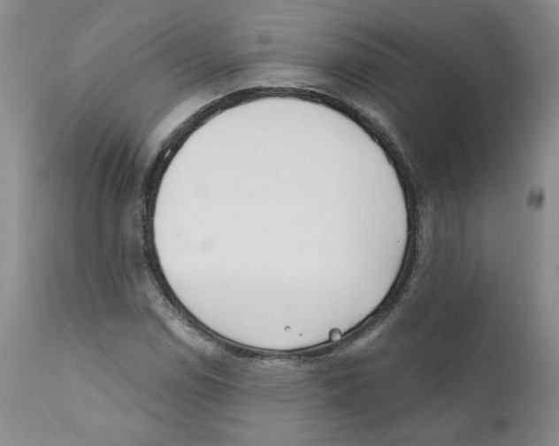 X0000110901114200907161544