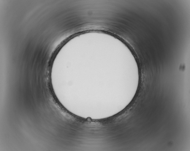 X0000110901119200907161544