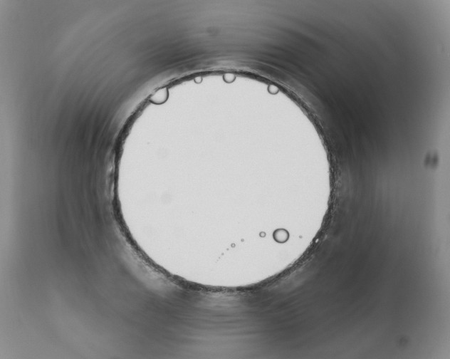 X0000110901126200907161544