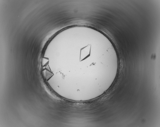 X0000110901128200907161544