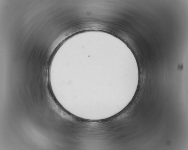 X0000110901130200907161544