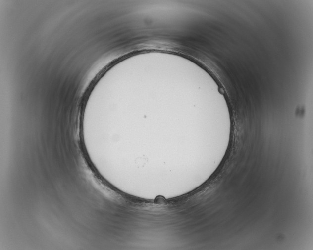 X0000110901131200907161545