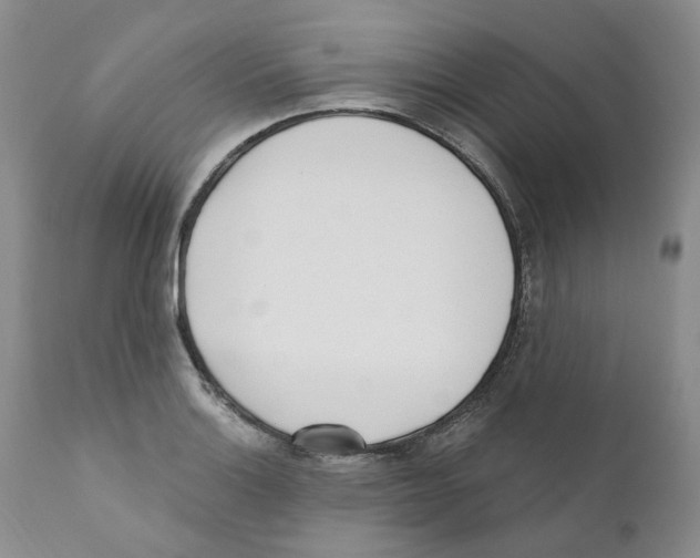 X0000110901132200907161545