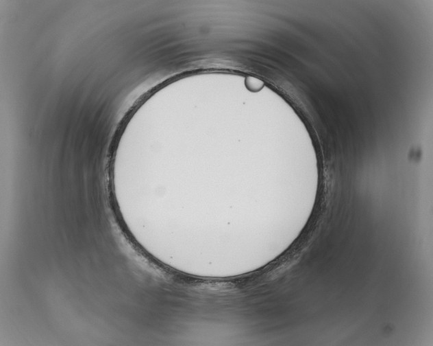 X0000110901133200907161545