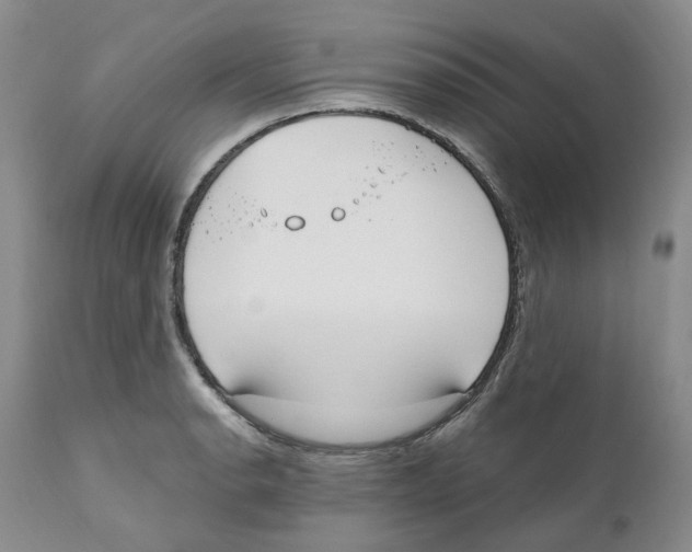 X0000110901134200907161545