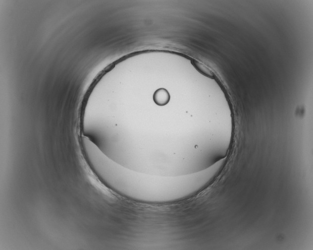 X0000110901136200907161545