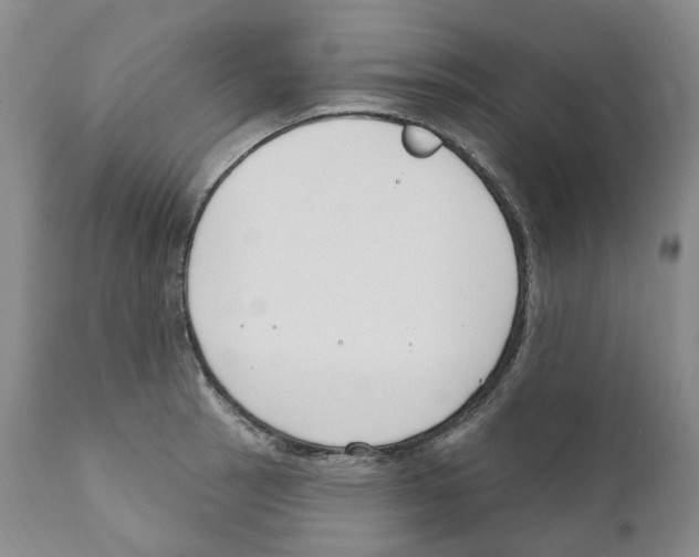 X0000110901137200907161545