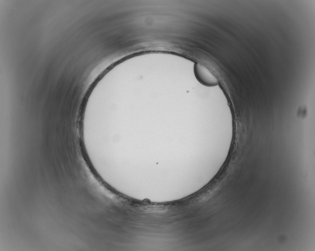 X0000110901141200907161545