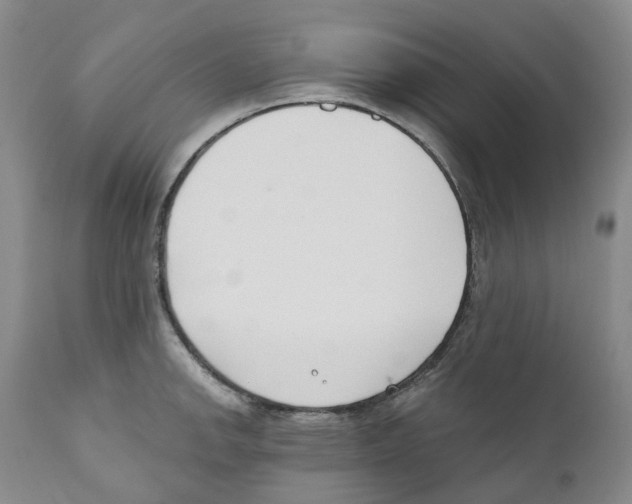 X0000110901142200907161545