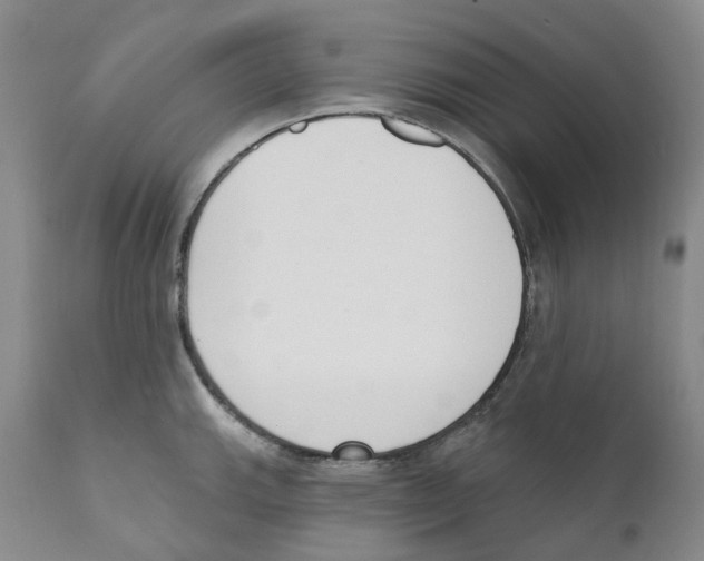 X0000110901143200907161545