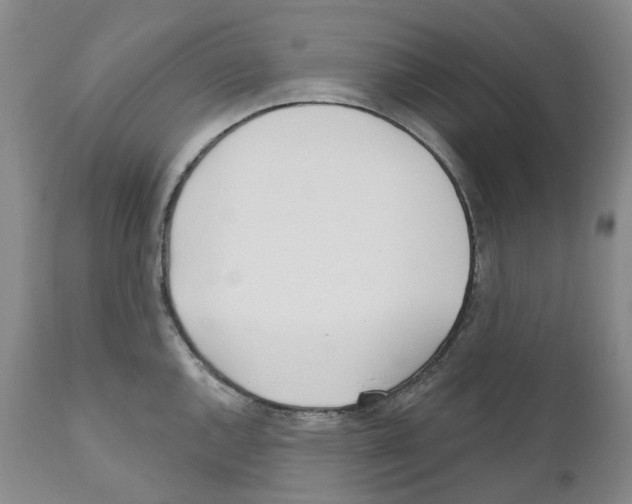 X0000110901144200907161545