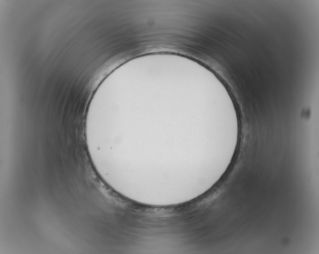 X0000110901145200907161545