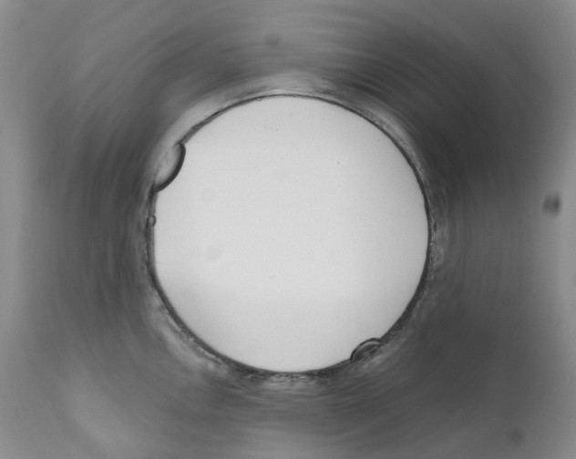 X0000110901146200907161545