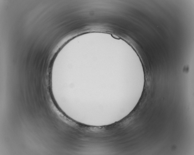 X0000110901147200907161545