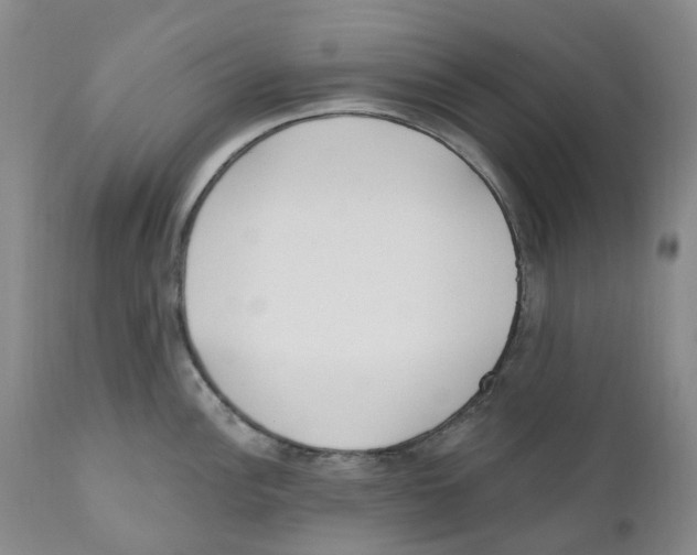 X0000110901148200907161545