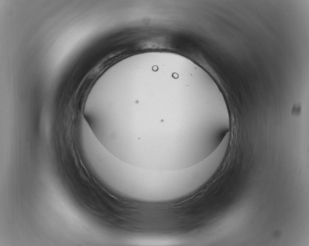 X0000110901151200907161545