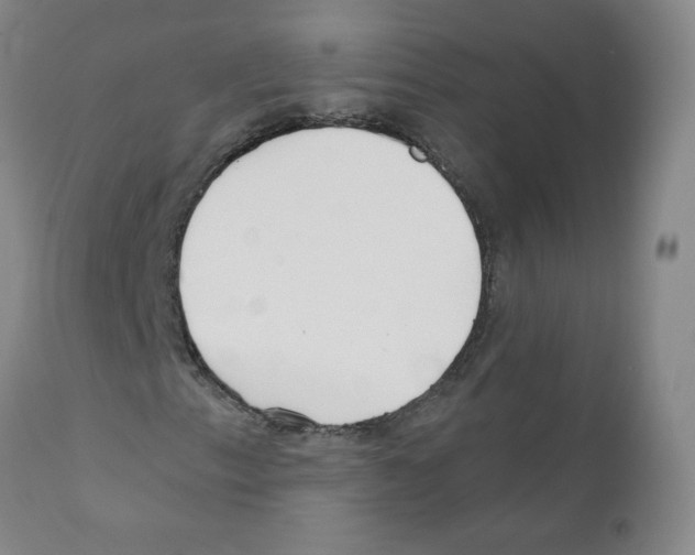 X0000110901153200907161544