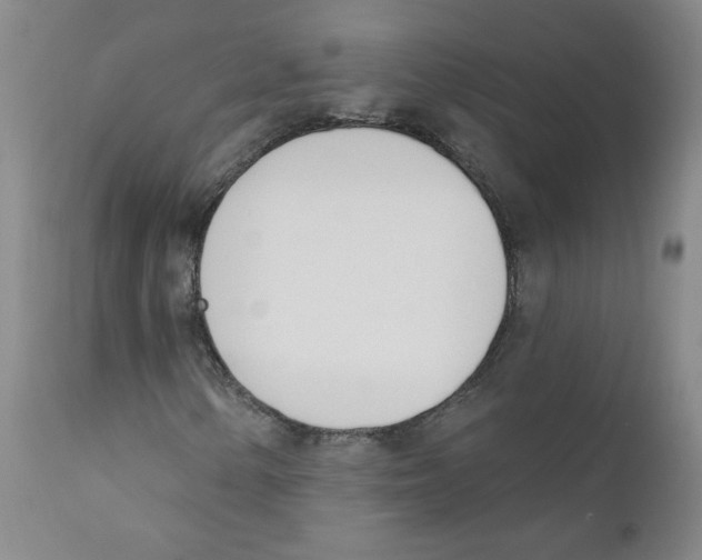 X0000110901154200907161544