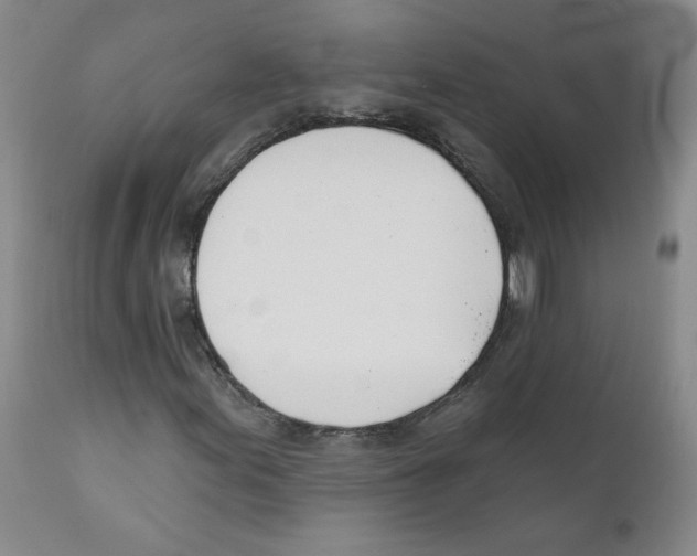 X0000110901155200907161544