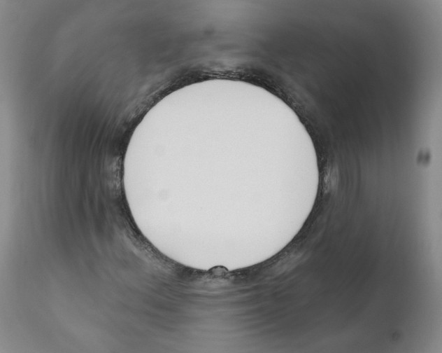 X0000110901156200907161544