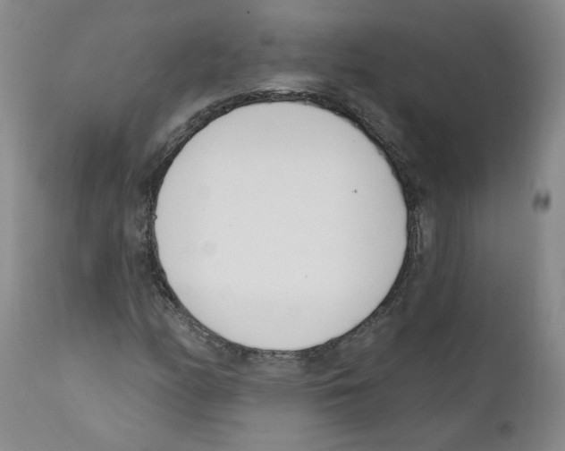 X0000110901158200907161544