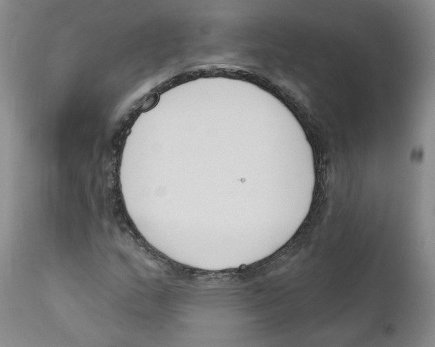 X0000110901159200907161544