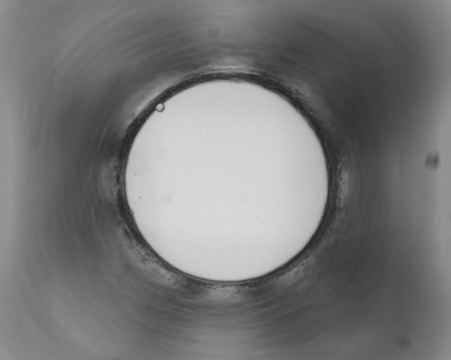 X0000110901162200907161544