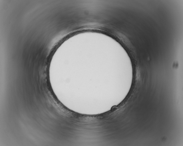 X0000110901164200907161544