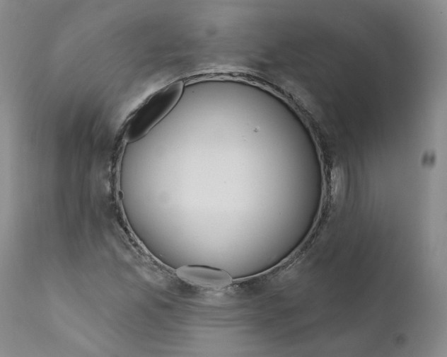 X0000110901165200907161544