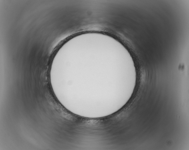 X0000110901166200907161544