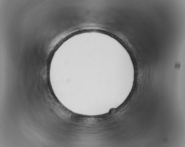 X0000110901167200907161544