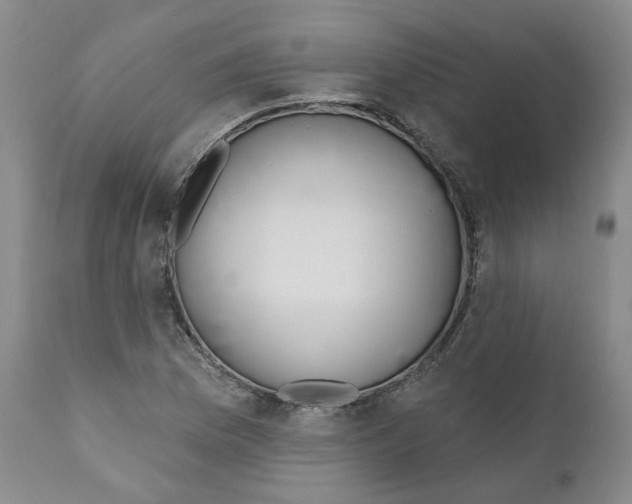 X0000110901169200907161544