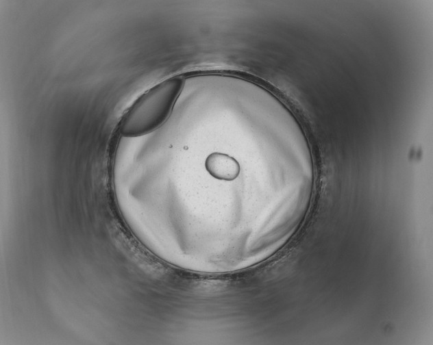 X0000110901173200907161544