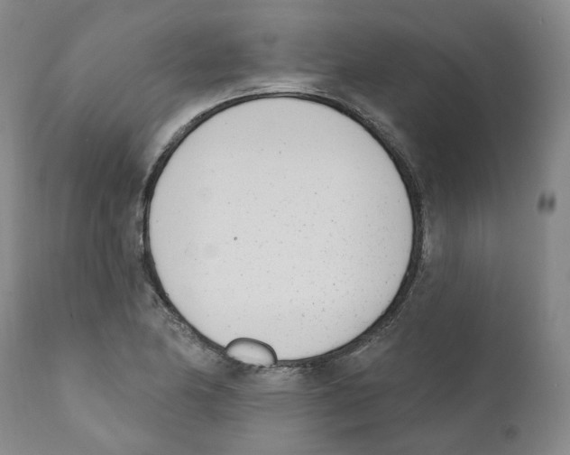 X0000110901174200907161544