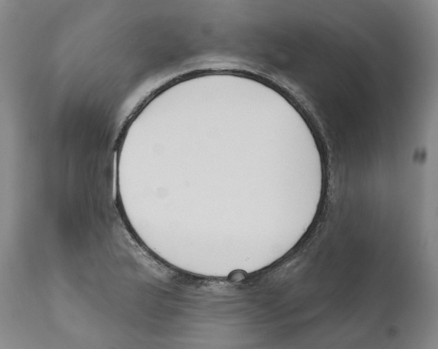 X0000110901175200907161544